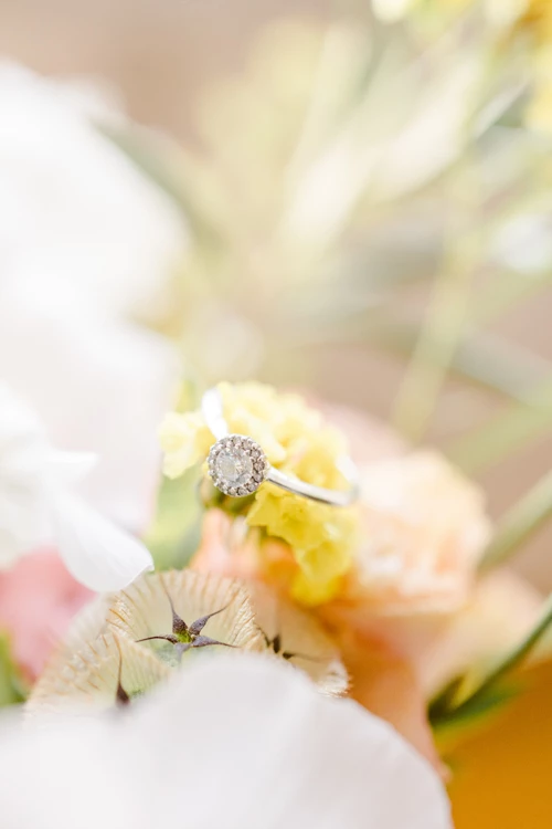 fleur pétale jaune rose composition florale